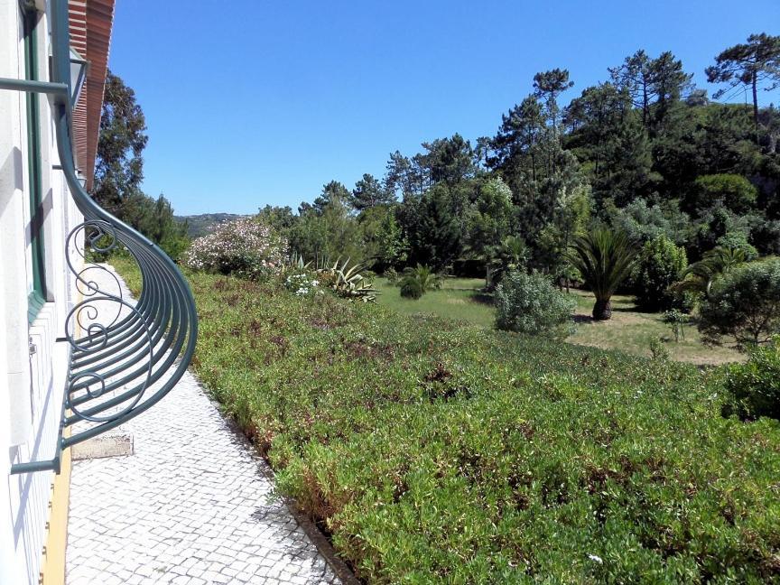 Quinta Da Torre - Obidos Country House Exterior foto
